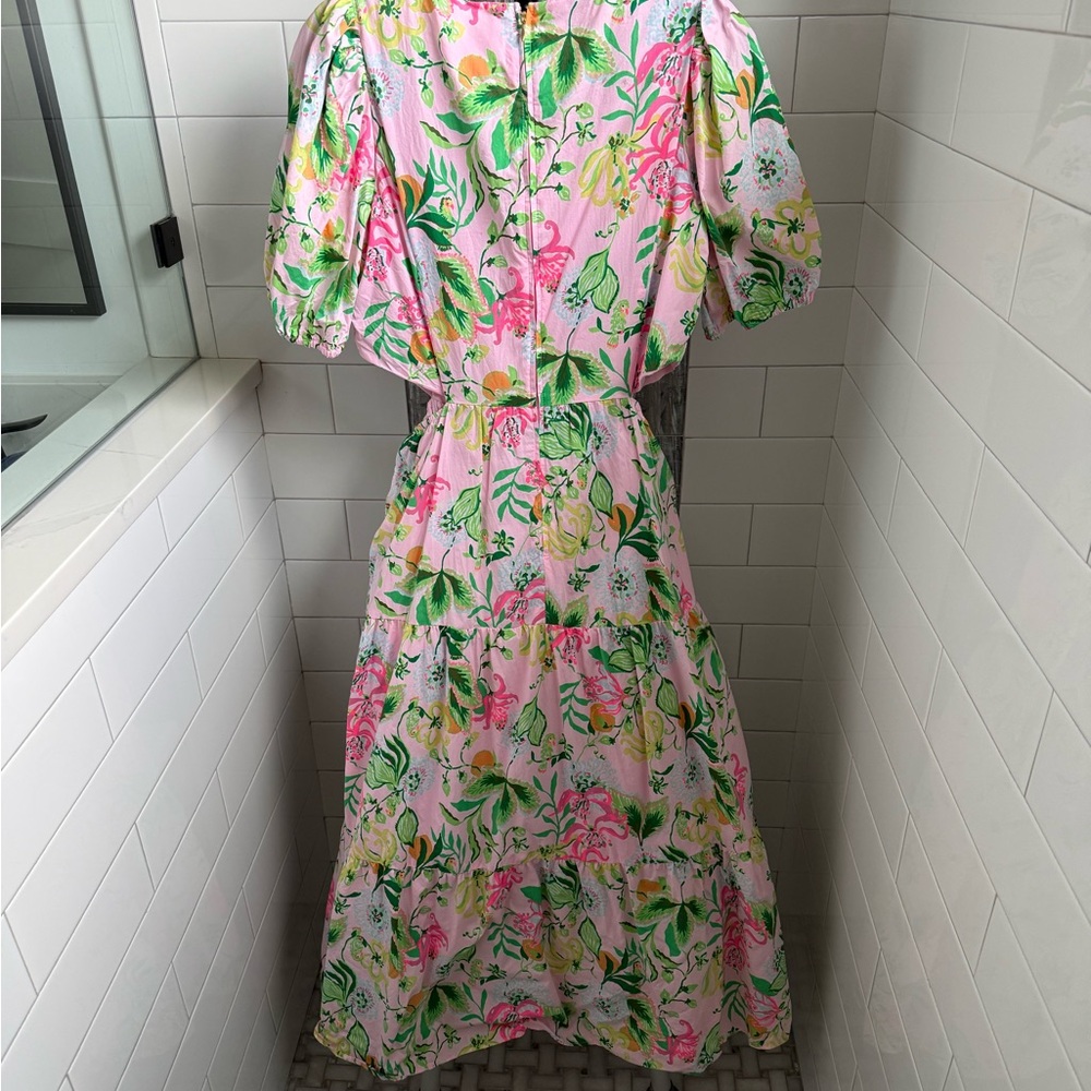 Lilly Pulitzer Pink and Green Floral Maxi Dress - Picture 2 of 5